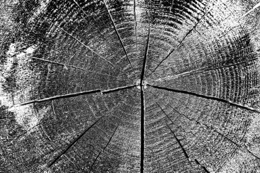 Ahşap desen yakın plan görünümü