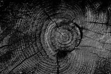 Soyut arkaplan. Monokrom dokusu. Siyah ve beyaz desenli arkaplan