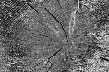 Ahşap desen yakın plan görünümü