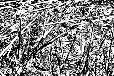 Soyut arkaplan. Monokrom dokusu. Siyah ve beyaz desenli arkaplan. 