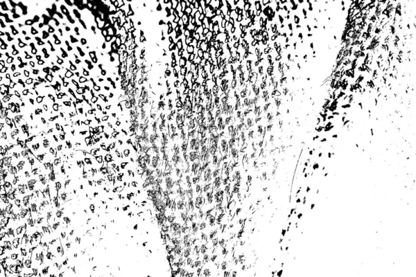 Fondo Abstracto Textura Monocromática Fondo Texturizado Blanco Negro — Foto de Stock