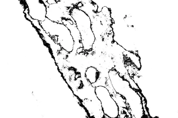 Abstrakcyjne Tło Monochromatyczna Faktura Czarno Białe Teksturowane Tło — Zdjęcie stockowe