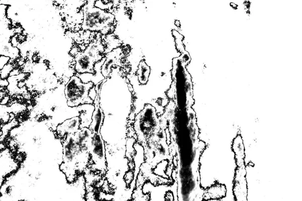 Абстрактный Фон Монохромная Текстура Черно Белый Текстурированный Фон — стоковое фото