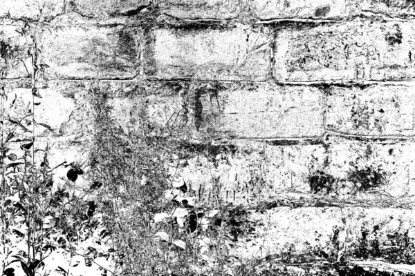Soyut Arkaplan Monokrom Dokusu Siyah Beyaz Desenli Arkaplan — Stok fotoğraf
