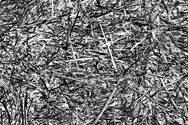 Soyut arkaplan. Monokrom dokusu. Siyah ve beyaz desenli arkaplan. 