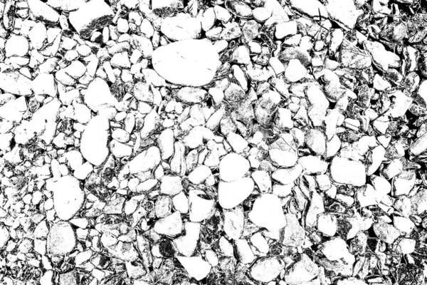 Soyut arkaplan. Monokrom dokusu. Siyah ve beyaz desenli arkaplan. 