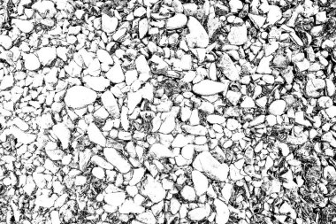 Soyut arkaplan. Monokrom dokusu. Siyah ve beyaz desenli arkaplan. 