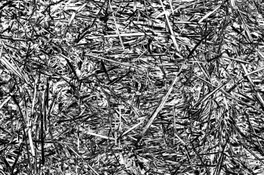 Soyut arkaplan. Monokrom dokusu. Siyah ve beyaz desenli arkaplan. 