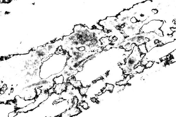 Αφηρημένο Φόντο Μονόχρωμη Υφή Ασπρόμαυρο Ανάγλυφο Φόντο — Φωτογραφία Αρχείου