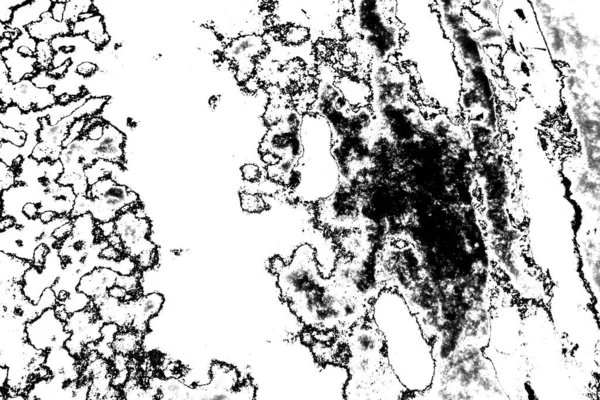 Абстрактный Фон Монохромная Текстура Черно Белый Текстурированный Фон — стоковое фото
