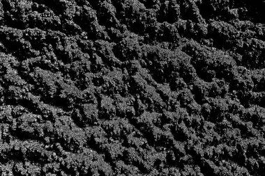 Arkaplan olarak kullanmak için duvarın resmi.