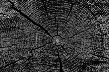 Soyut arkaplan. Monokrom dokusu. Siyah ve beyaz desenli arkaplan