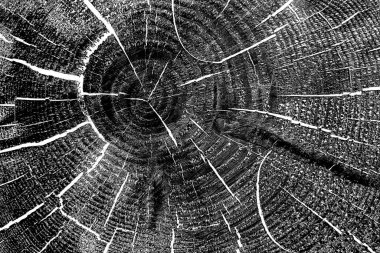 Soyut arkaplan. Monokrom dokusu. Siyah ve beyaz desenli arkaplan