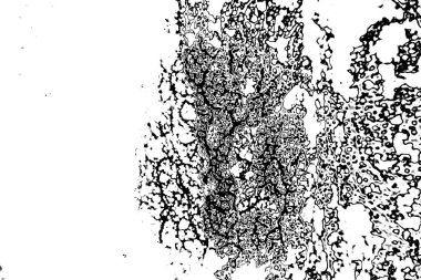 Soyut arkaplan. Monokrom dokusu. Siyah ve beyaz desenli arkaplan