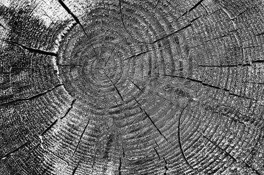 Ahşap desen yakın plan görünümü