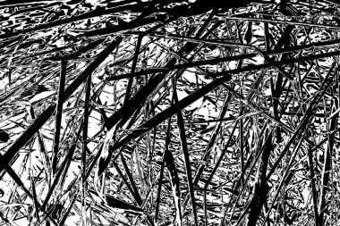 Soyut arkaplan. Monokrom dokusu. Siyah ve beyaz desenli arkaplan. 