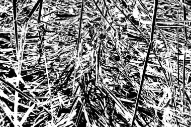 Soyut arkaplan. Monokrom dokusu. Siyah ve beyaz desenli arkaplan. 