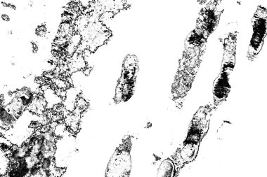 Soyut arkaplan. Monokrom dokusu. Siyah ve beyaz desenli arkaplan