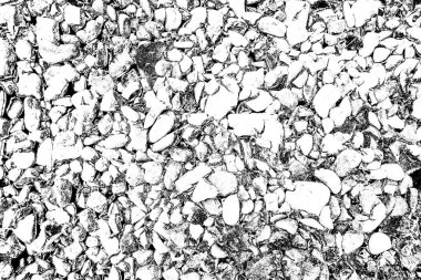 Soyut arkaplan. Monokrom dokusu. Siyah ve beyaz desenli arkaplan. 