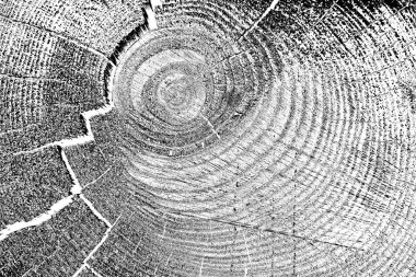 Soyut arkaplan. Monokrom dokusu. Siyah ve beyaz desenli arkaplan. 