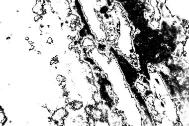 Soyut arkaplan. Monokrom dokusu. Siyah ve beyaz desenli arkaplan