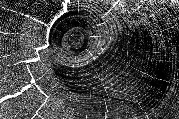 Soyut arkaplan. Monokrom dokusu. Siyah ve beyaz desenli arkaplan