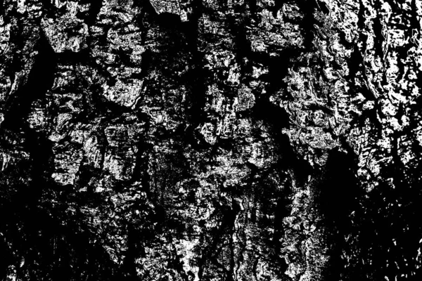 Fondo Abstracto Textura Monocromática Fondo Texturizado Blanco Negro — Foto de Stock