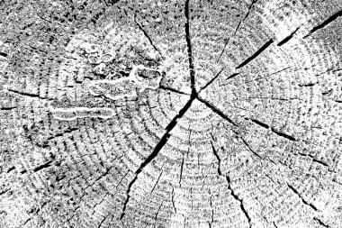 Soyut arkaplan. Monokrom dokusu. Siyah ve beyaz desenli arkaplan