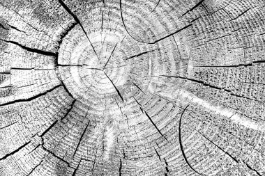 Soyut arkaplan. Monokrom dokusu. Siyah ve beyaz desenli arkaplan