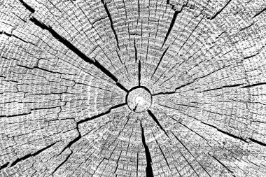 Soyut arkaplan. Monokrom dokusu. Siyah ve beyaz desenli arkaplan