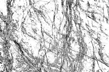 Arkaplan olarak kullanmak için duvarın resmi.