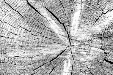 Soyut arkaplan. Monokrom dokusu. Siyah ve beyaz desenli arkaplan