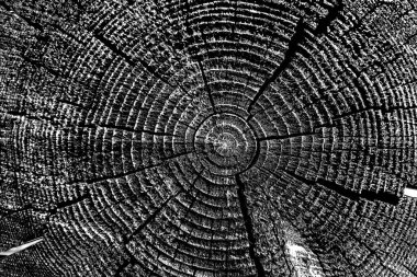 Soyut arkaplan. Monokrom dokusu. Siyah ve beyaz desenli arkaplan. 