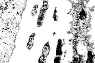 Soyut arkaplan. Monokrom dokusu. Siyah ve beyaz desenli arkaplan. 