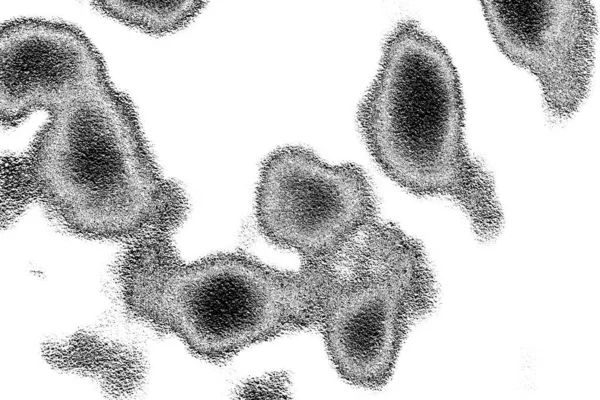 Абстрактный Фон Монохромная Текстура Черно Белый Текстурированный Фон — стоковое фото