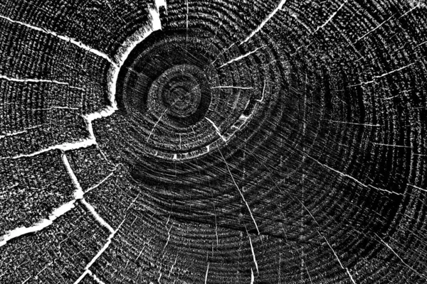 Soyut arkaplan. Monokrom dokusu. Siyah ve beyaz desenli arkaplan. 