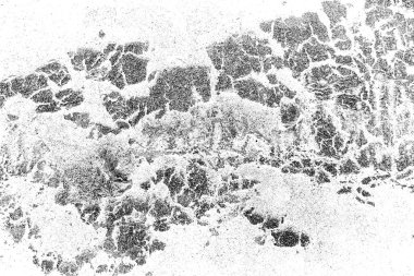 Eski keçeli çatı katranı parçası soyut bir arkaplan olarak