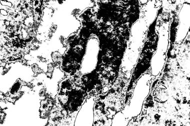Soyut arkaplan. Monokrom dokusu. Siyah ve beyaz desenli arkaplan. 
