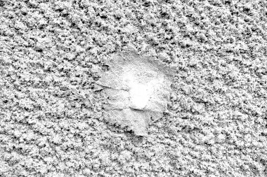 Arkaplan olarak kullanmak için duvarın resmi.