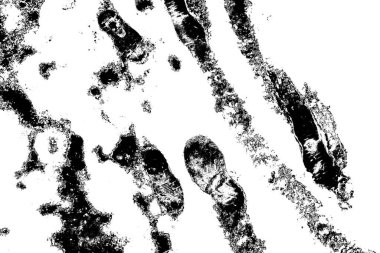 Soyut arkaplan. Monokrom dokusu. Siyah ve beyaz desenli arkaplan. 