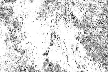 Domuzun kanı çimlerin üzerinde.