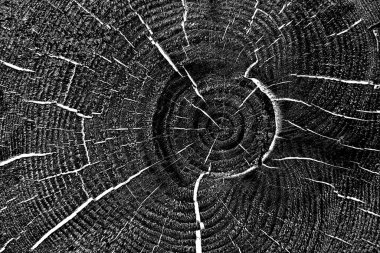 Soyut arkaplan. Monokrom dokusu. Siyah ve beyaz desenli arkaplan. 