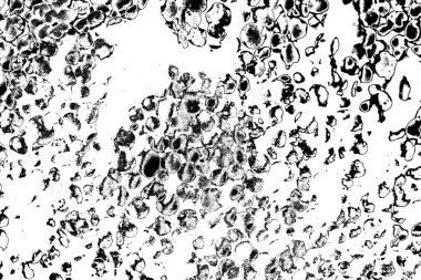 Soyut arkaplan. Monokrom dokusu. Siyah ve beyaz desenli arkaplan. 