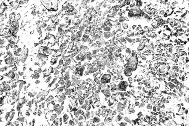 Soyut arkaplan. Monokrom dokusu. Siyah ve beyaz desenli arkaplan. 