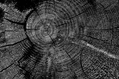 Soyut arkaplan. Monokrom dokusu. Siyah ve beyaz desenli arkaplan. 