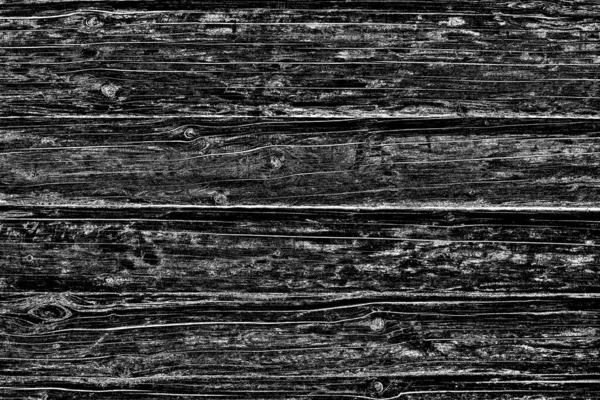 Abstraktní Pozadí Monochromní Textura Černobílé Texturované Pozadí — Stock fotografie