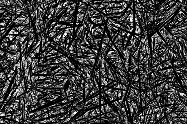 Fondo Abstracto Textura Monocromática Fondo Texturizado Blanco Negro —  Fotos de Stock