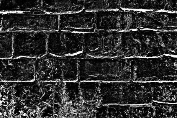 Contexte Abstrait Texture Monochrome Fond Texturé Noir Blanc — Photo