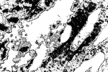 Soyut arkaplan. Monokrom dokusu. Siyah ve beyaz desenli arkaplan. 