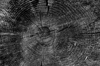 Soyut arkaplan. Monokrom dokusu. Siyah ve beyaz desenli arkaplan. 